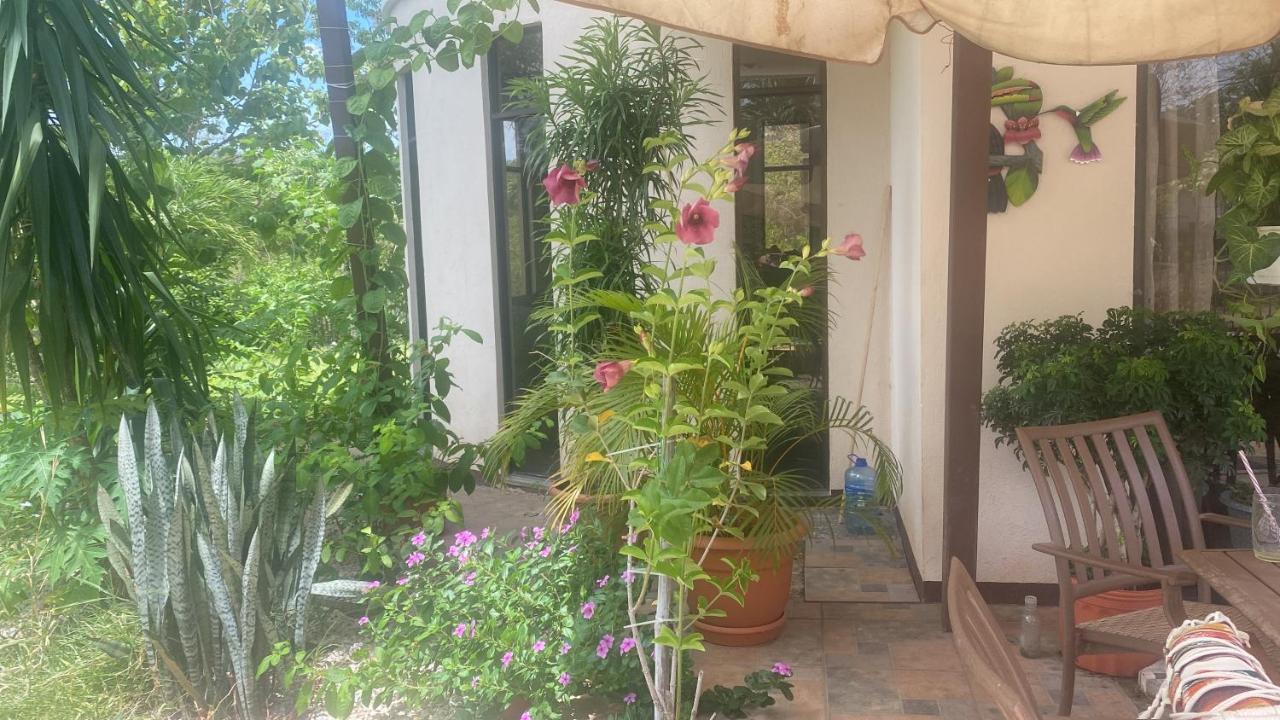 Villa Pura Vida Matapalo  Exterior photo